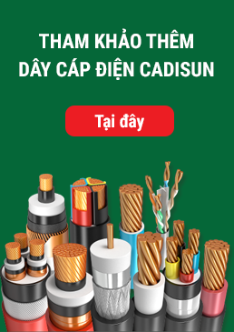 cadisun